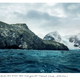 Illustration for article titled Meet the Woman Who Photographs the Oldest Living Things In The World